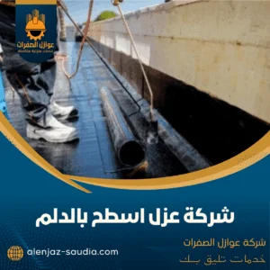 شركة عزل اسطح بالدلم